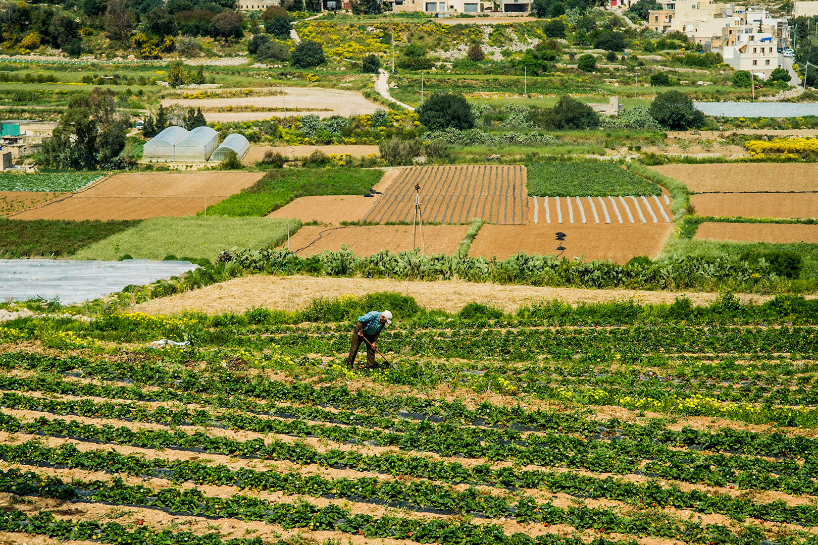 Agricultural-1